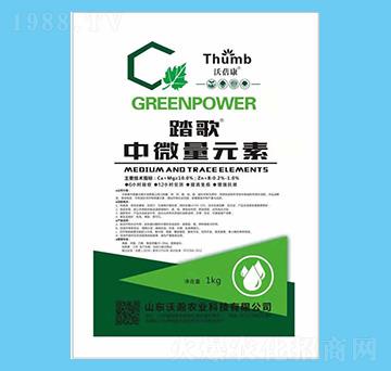 ��΢��Ԫ��-̤��-����r�I(y��)