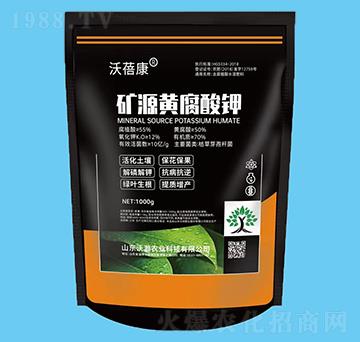 1000g�VԴ�S�����-������-����r�I(y��)