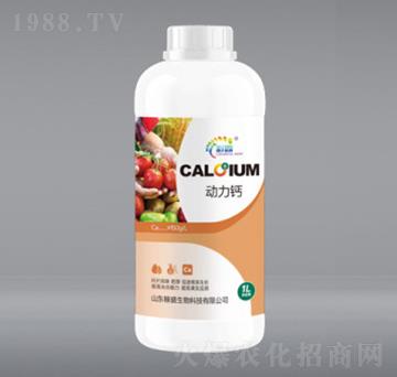 1L��(d��ng)���}-��ʢ����