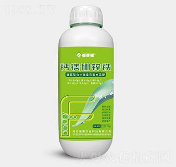 �}�V���\�F-��ِ��