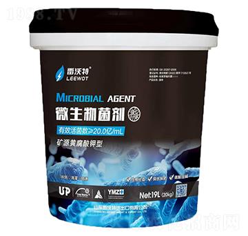 ΢�������-������