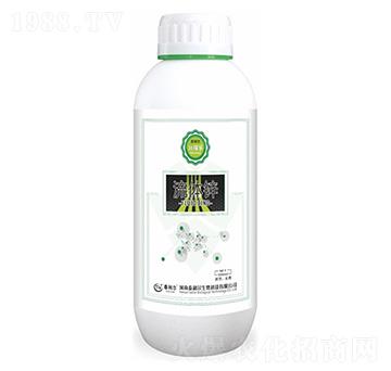 ���w�\-��(r��n)�ژ�-̩����