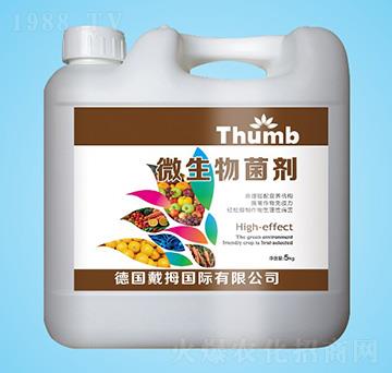 ΢�������-����r(n��ng)�I(y��)