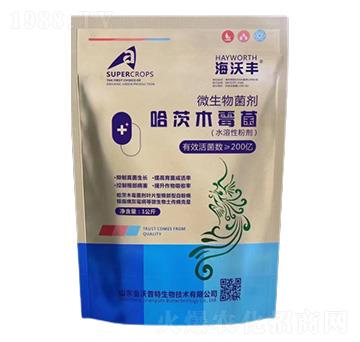 ����ľù��-�����S-�����_����