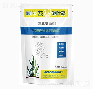 ΢�������-ī��40�����~��-��˹�r