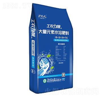 ����Ԫ��ˮ�ܷ���19-19-19+TE-���r���n-�o�컯