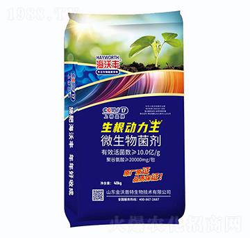 ΢�������-������(d��ng)����-�����S-�����_(d��)����