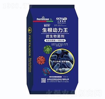 25kg΢�������-����������-�����S-�����_����