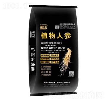 �S����_ʩ��-ֲ���˅�-�����S-�����_(d��)����