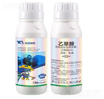 50%�Ҳݰ�����-�{؈�ǻ�