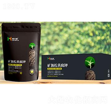 �VԴ���S���-���f(w��n)��