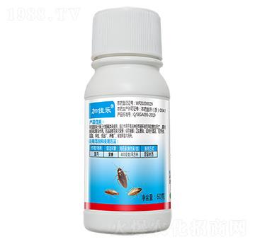 40%߻�x��60g-��