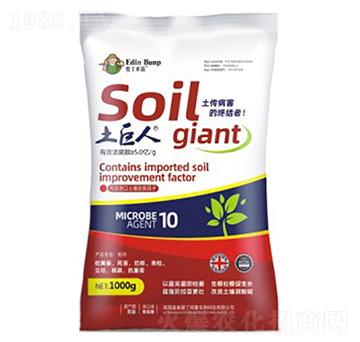 ������-�۶�����