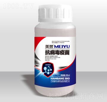 ����������-嫰�����