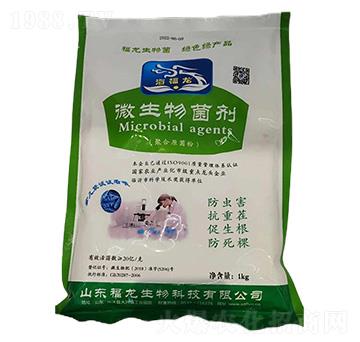 ΢�������(�ۺ�ԭ����)-��������