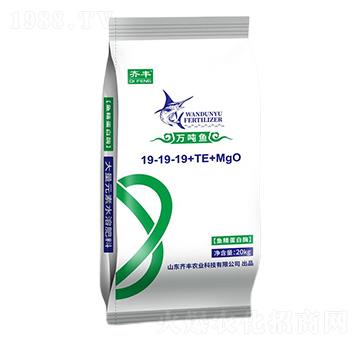 �~������ø����Ԫ��ˮ�ܷ�19-19-19+TE+MgO-�f���~-�R�S�r�I(y��)