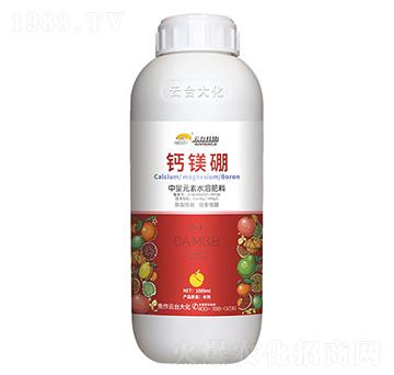 �}�V������Ԫ��ˮ�ܷ���