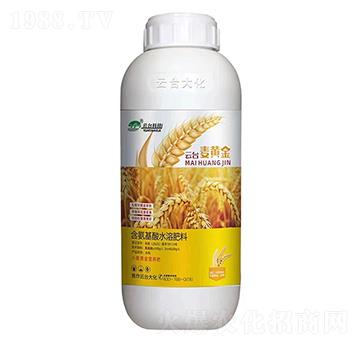 ���_���S��-���_��