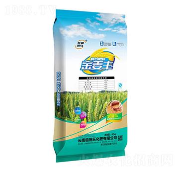 ��(f��)�Ϸ���30-5-5-�����S-��ʩ������