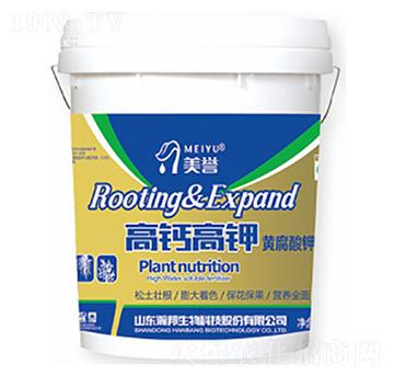 ���}���-嫰�����