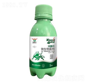 ΢�������-�־���-�ָ�ţ