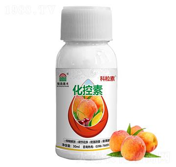 ������-������-��ɭ�κ�