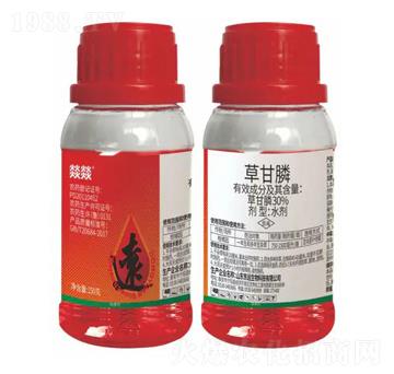 30%�ݸ��ˮ��-�͠D