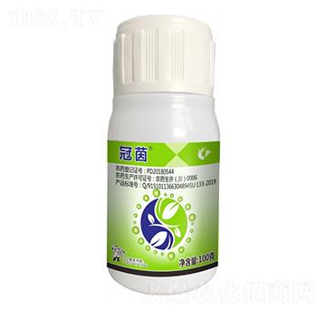 40%���ס�뿾���-����-����¡����