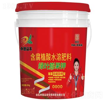 �G�~����-�ƹ�ʯ-�е����r