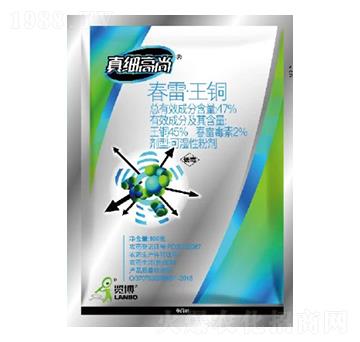 47%春雷·王銅WP-真細(xì)高尚-一覽科技