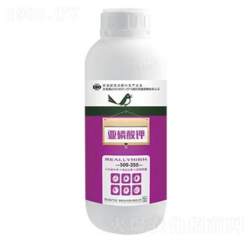 ��ߡ��������-������