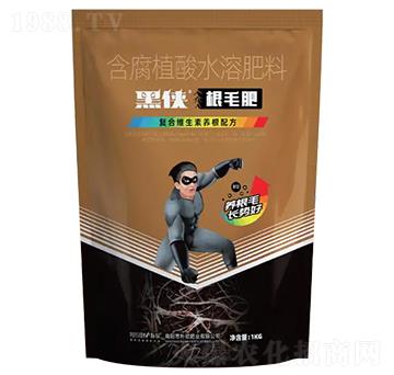 �ڂb����ë��-�����ʘI(y��)