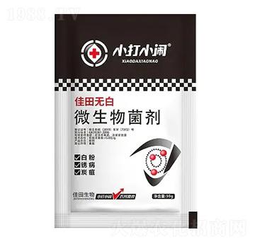 ΢�������-����o��-С��С�[-��������