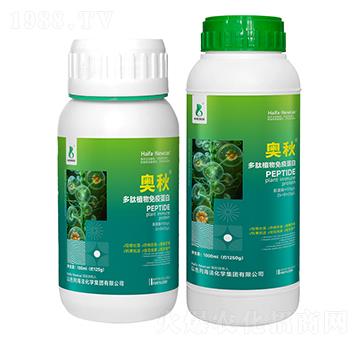 ����ֲ�����ߵ���-�W��-���r(n��ng)�W��