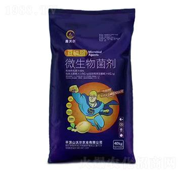 ����֬΢�������-���֠�-�֠��r�I(y��)