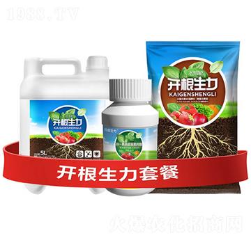 �_�������ײ�F-�ƴ�Ƽ�