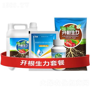 �_�������ײ�E-�ƴ�Ƽ�