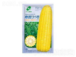 ����31̖ˮ������-���S�N�I(y��)