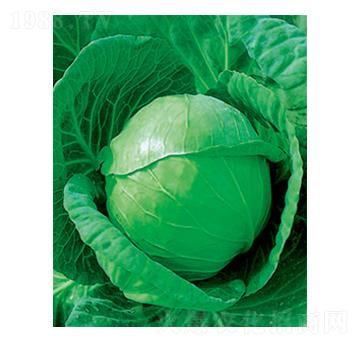 �и�ʮһ���{(l��n)�N��-̫��(l��)�N�I(y��)