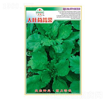 ����N��-���~�����-̫��(l��)�N�I(y��)