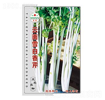 ����ѩ������-̫��(l��)�N�I(y��)