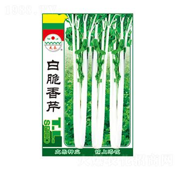 �״�����-̫��(l��)�N�I(y��)