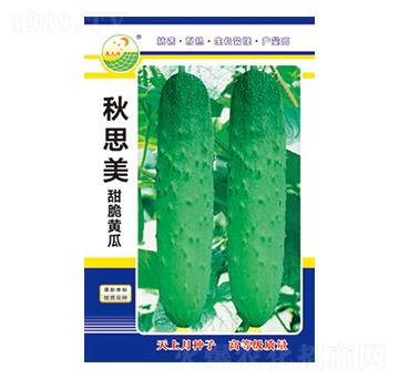 �S�ϷN��-��˼��-̫��(l��)�N�I(y��)