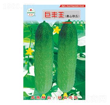 �S�ϷN��-���S��-̫��(l��)�N�I(y��)