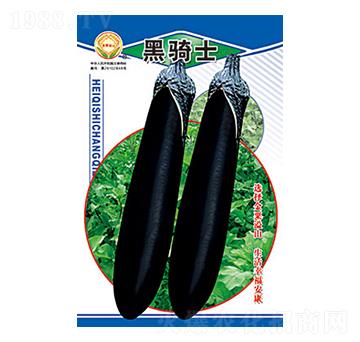 ���ӷN��-���Tʿ-̫��(l��)�N�I(y��)