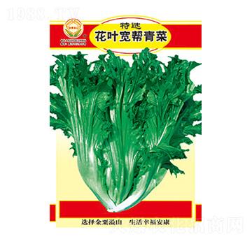 ��˷N��-���x���~�������-̫��(l��)�N�I(y��)