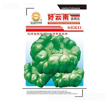 �����ϷN��-������-̫��(l��)�N�I(y��)