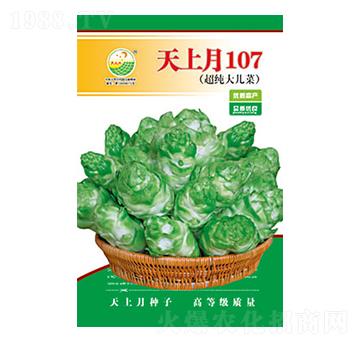 ���˷N��-������107-̫��(l��)�N�I(y��)