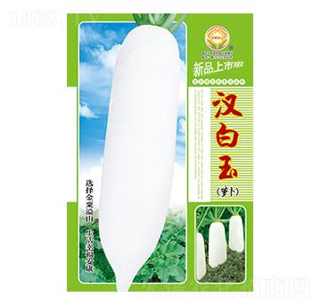 �}���N��-�h����-̫��(l��)�N�I(y��)