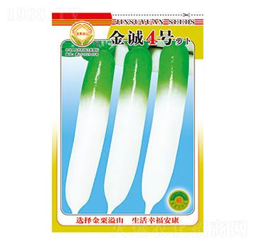 �}���N��-���\(ch��ng)4̖(h��o)-̫��(l��)�N�I(y��)